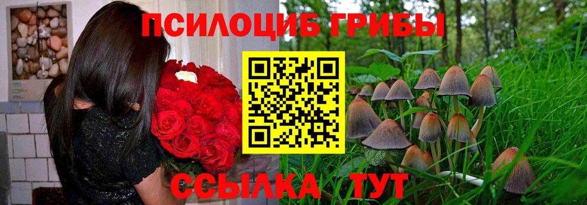 Псилоцибиновые грибы GOLDEN TEACHER  Вход с VPN  Заводоуковск  Галлюциногенные грибы Cubensis 