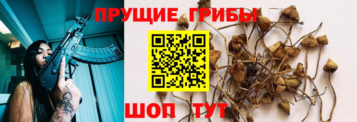 Псилоцибиновые грибы MAGIC MUSHROOMS Заводоуковск